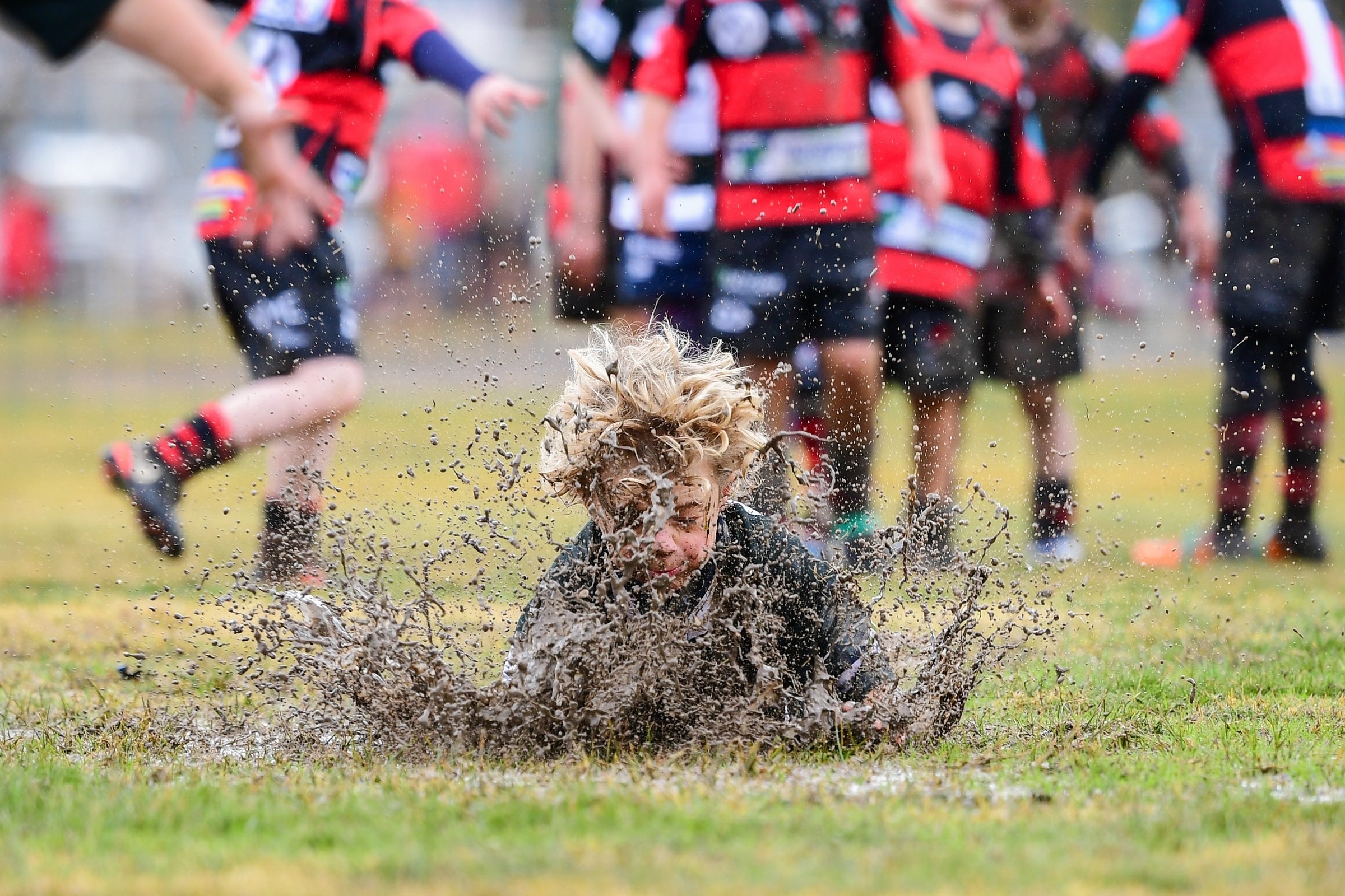 Sponsorship Information