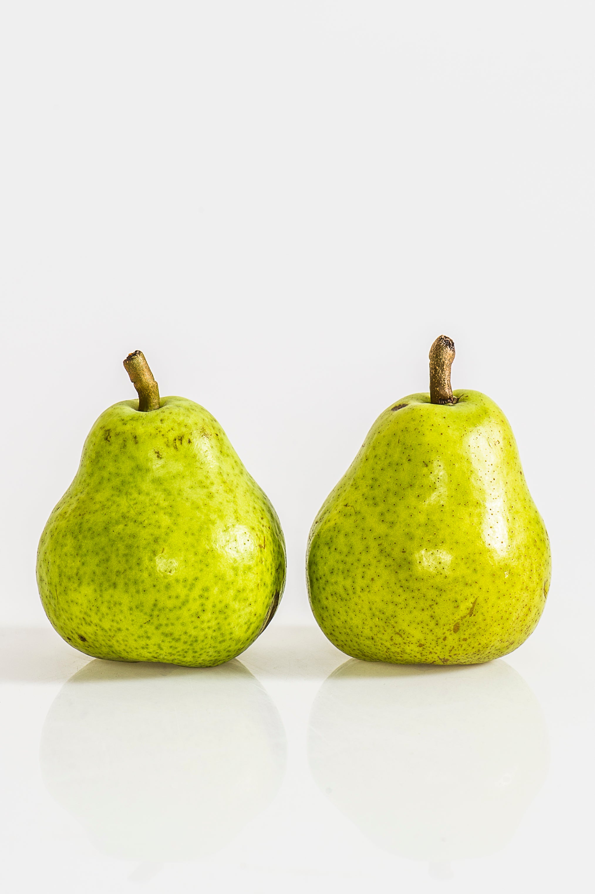 Seasonal Produce and Gardening January and February