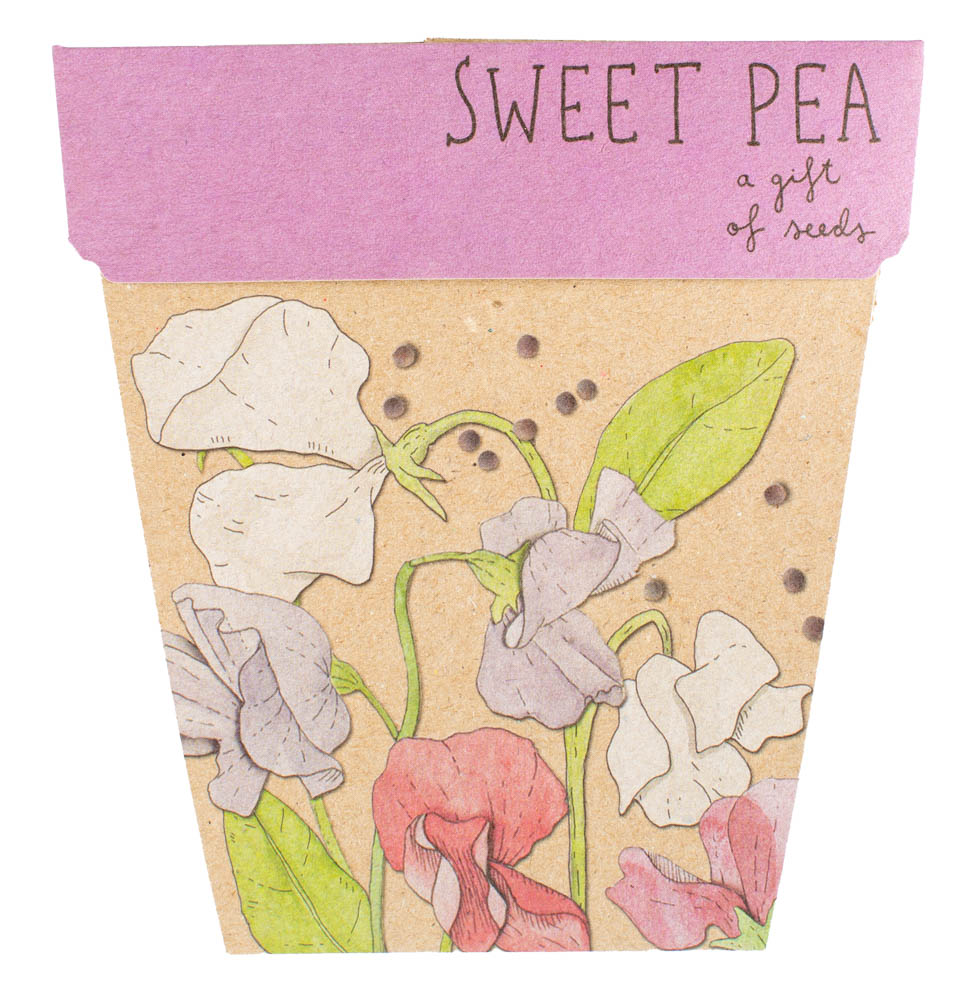 TCCS Sow 'n Sow Sweet Pea Gift of Seeds