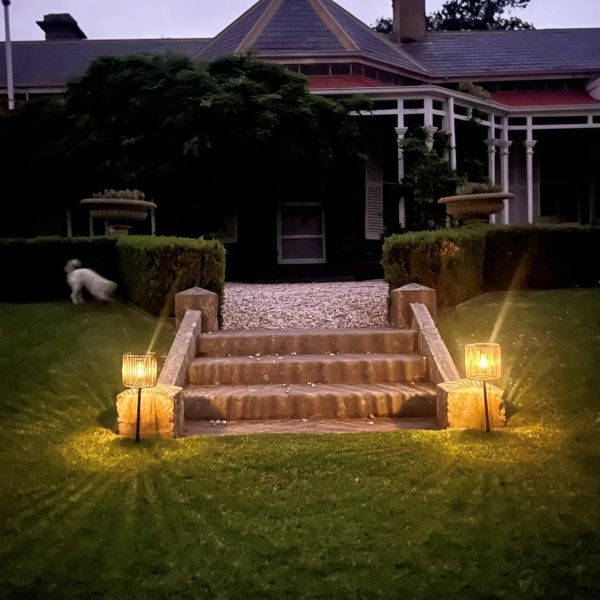 TCCS Mediterranean Markets Cali Sola Stake Light