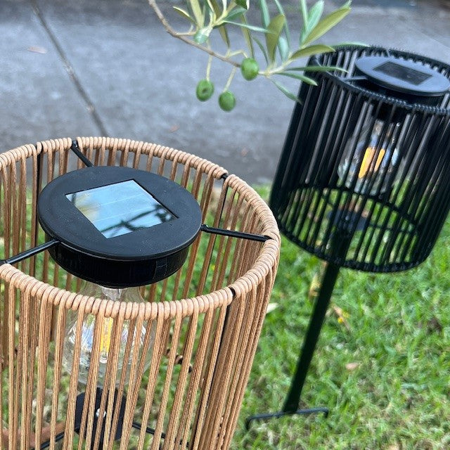 TCCS Mediterranean Markets Cali Sola Stake Light