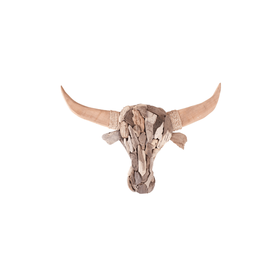 TCCS Darlin Driftwood Bulls Head