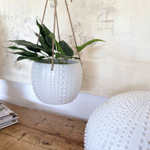 TCCS Mediterranean Markets Mode Anemone Hang Pot