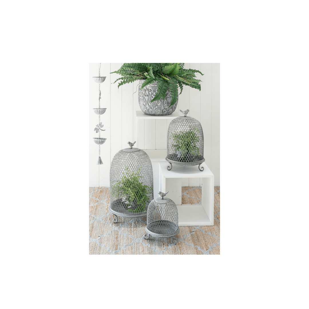 TCCS Darlin Bird Cloche Set