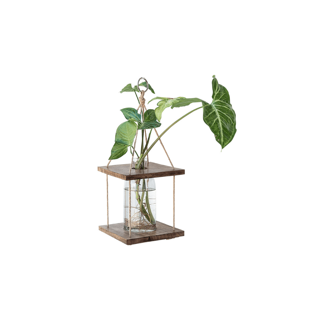 TCCS Darlin Hanging Bottle Planter