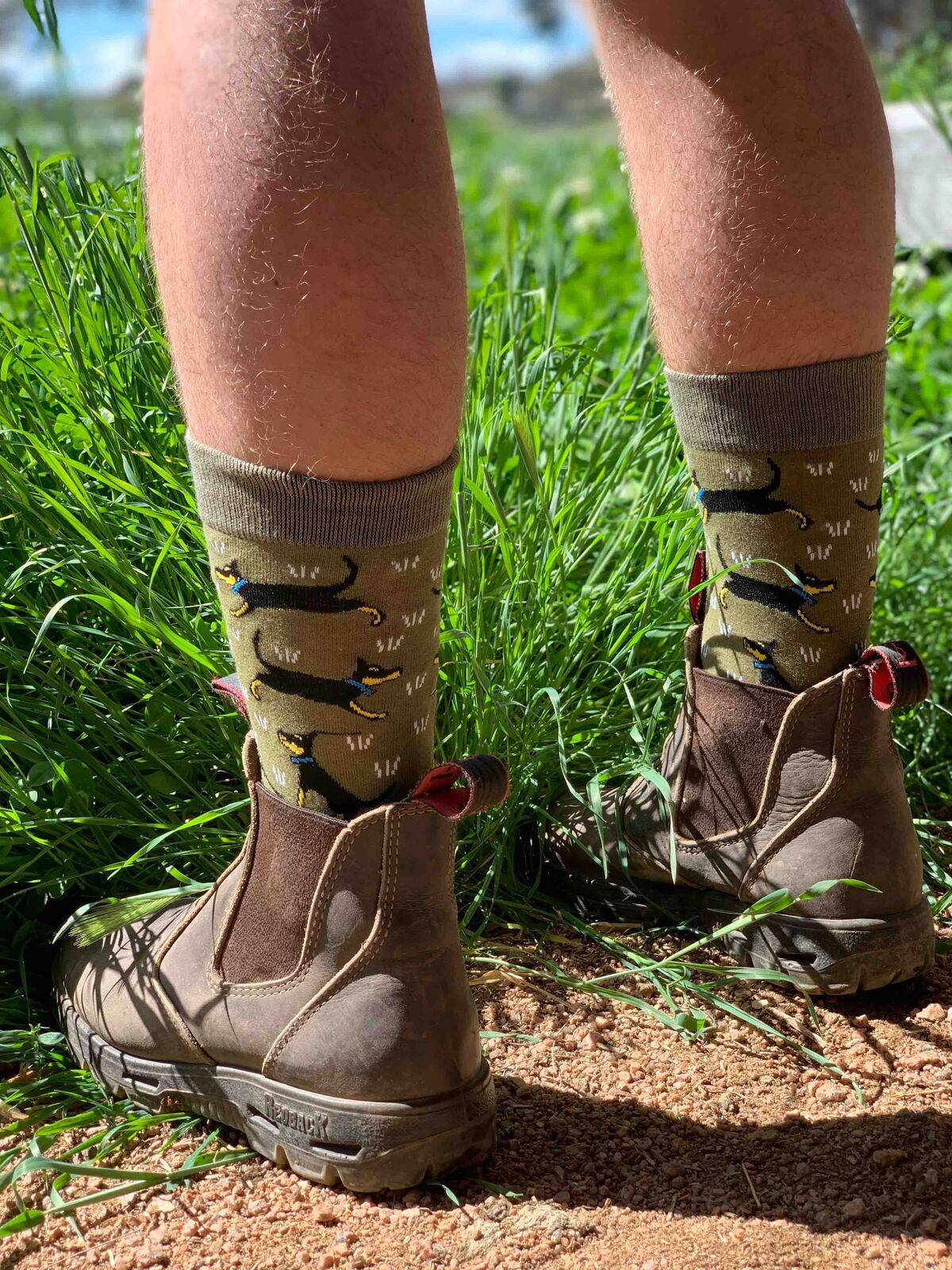 TCCS Red Tractor Designs Boxed Set Cotton Socks