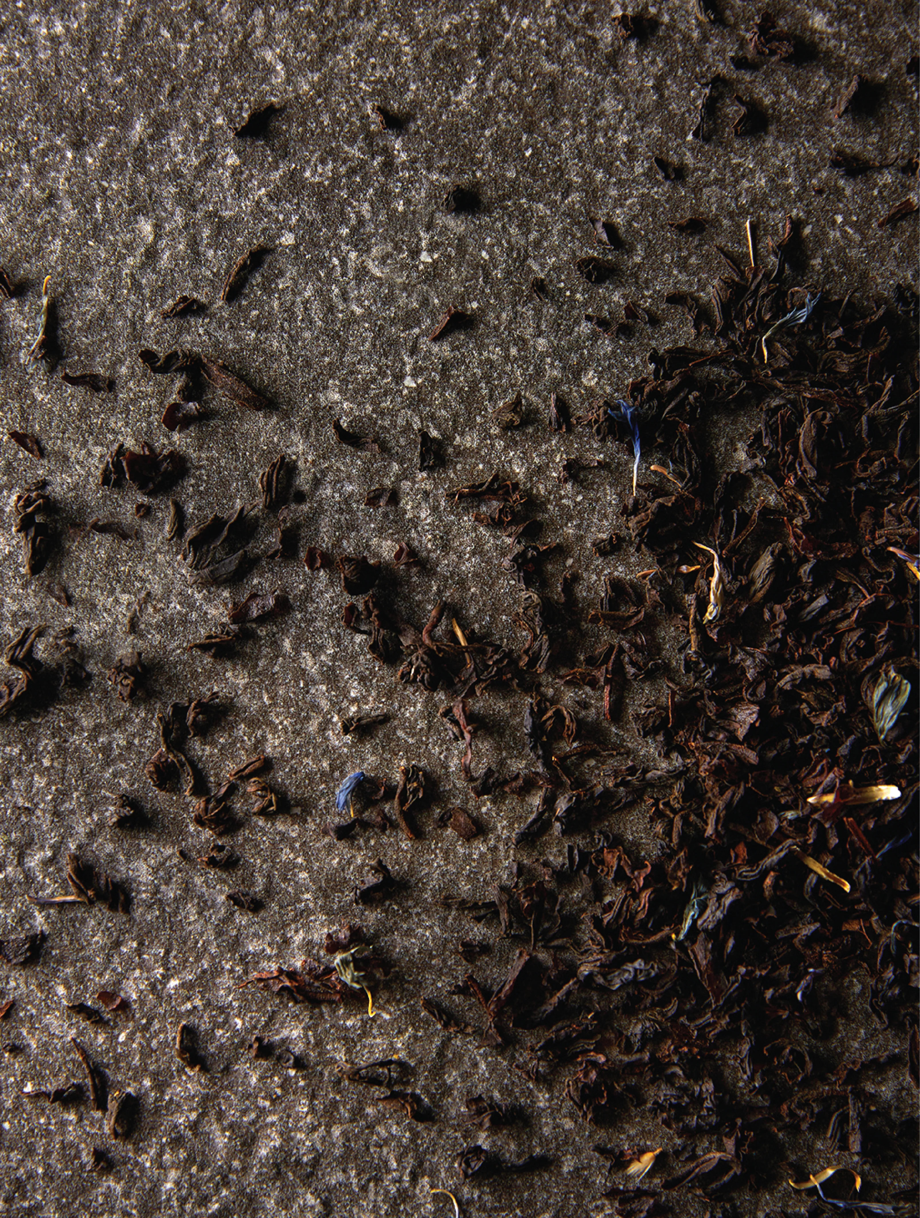 TCCS Somage Earl Grey Tea Infusers