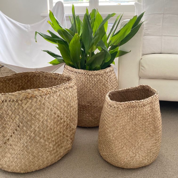 TCCS Mediterranean Markets Seagrass Basket Set