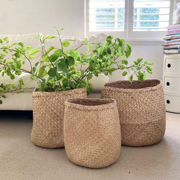 TCCS Mediterranean Markets Seagrass Basket Set