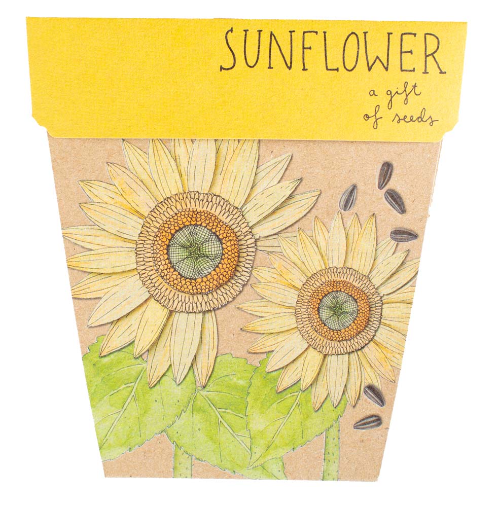 TCCS Sow 'n Sow Sunflower Gift of Seeds
