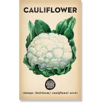 TCCS Little Veggie Patch Co Cauliflower "Snowball" Heirloom Seeds