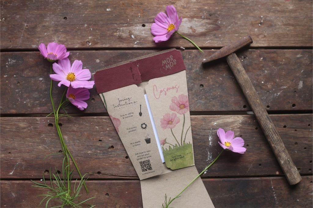 TCCS Sow 'n Sow Blooming Beautiful Gift of Seeds