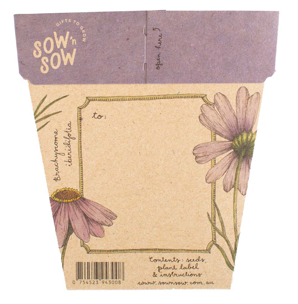 TCCS Sow 'n Sow Swan River Daisy Gift of Seeds