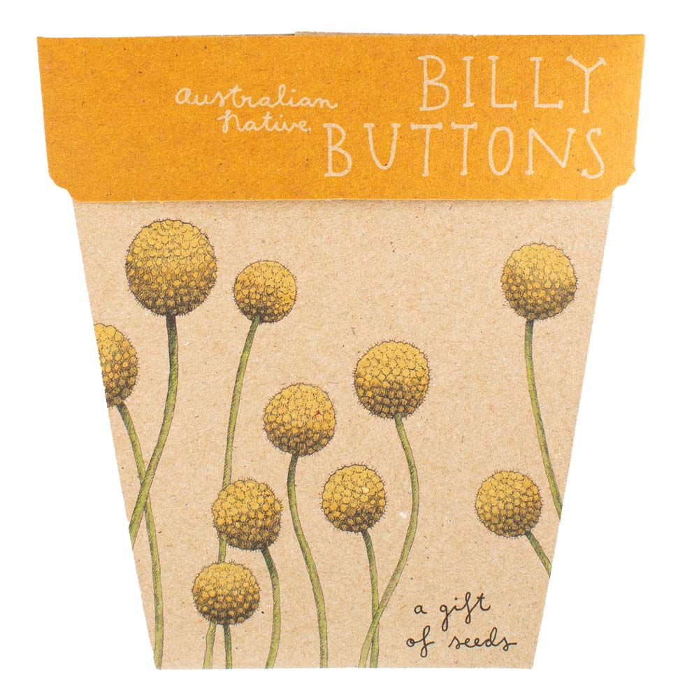 TCCS Sow 'n Sow Billy Button Gift of Seeds