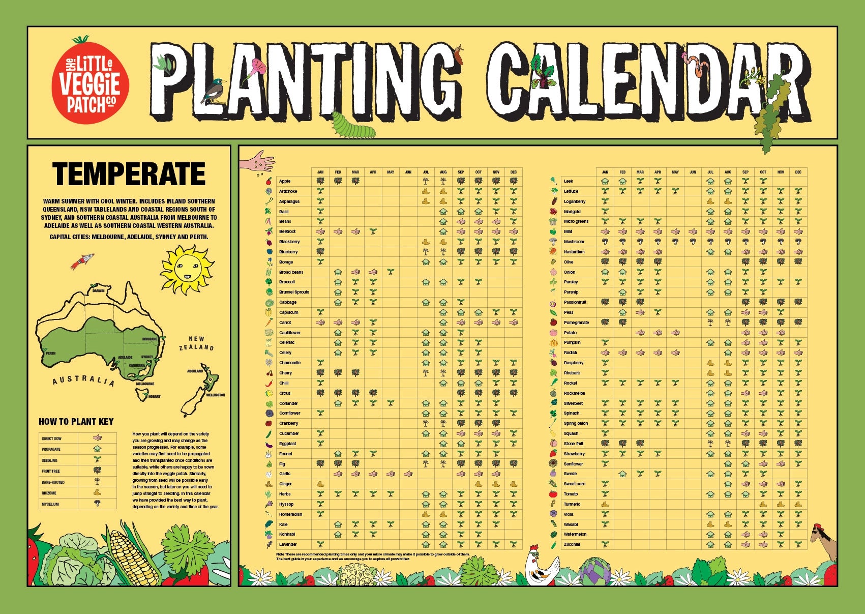 Little Veggie Patch Co Temperate Climate Planting Calendar