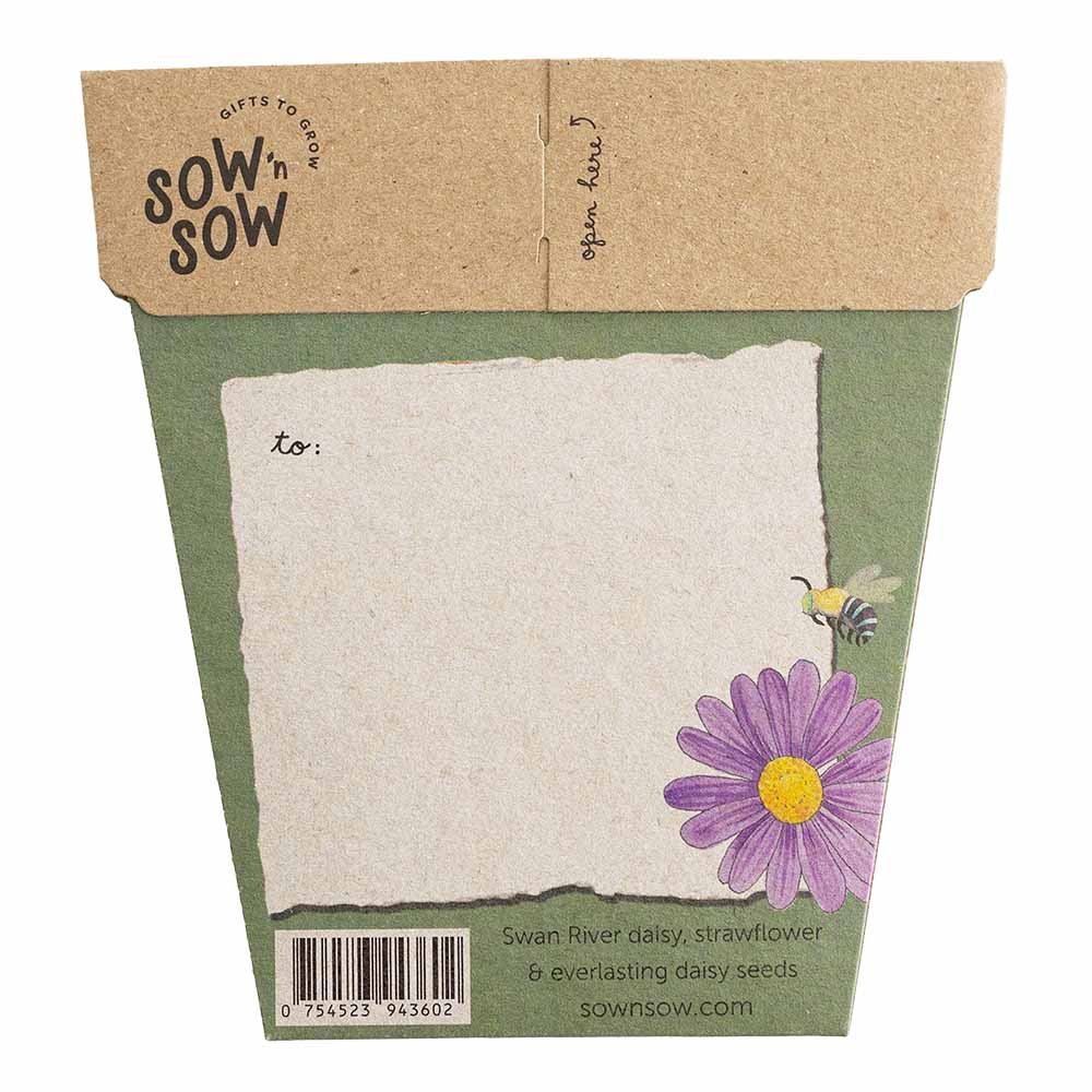 Sow 'n Sow Birthday Wishes Gift of Seeds