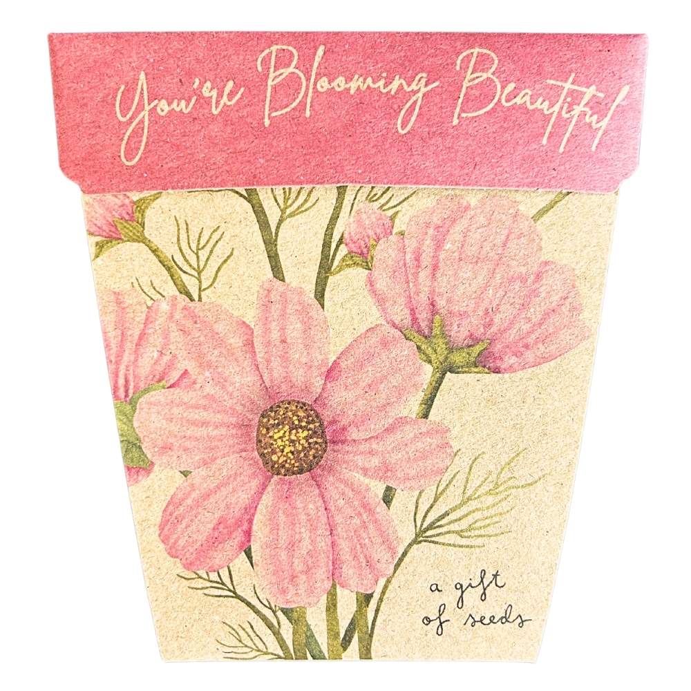 Sow 'n Sow Blooming Beautiful Gift of Seeds