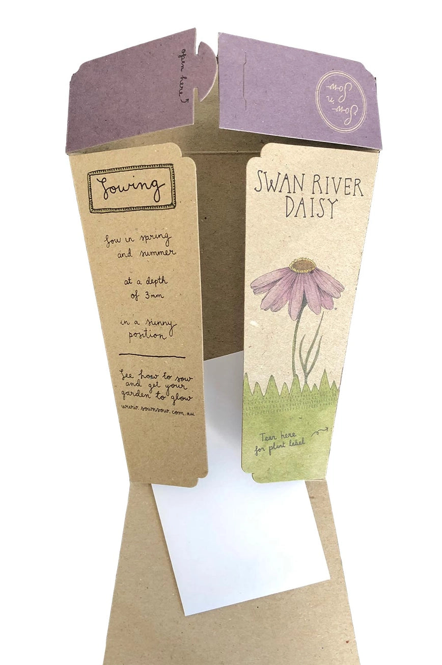 Sow 'n Sow Swan River Daisy Gift of Seeds