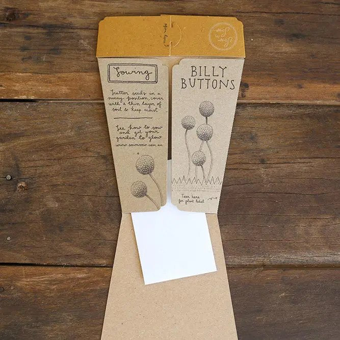 Sow 'n Sow Billy Button Gift of Seeds