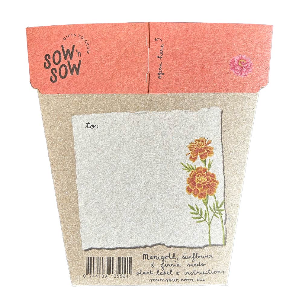 Sow 'n Sow Secret Garden Gift of Seeds