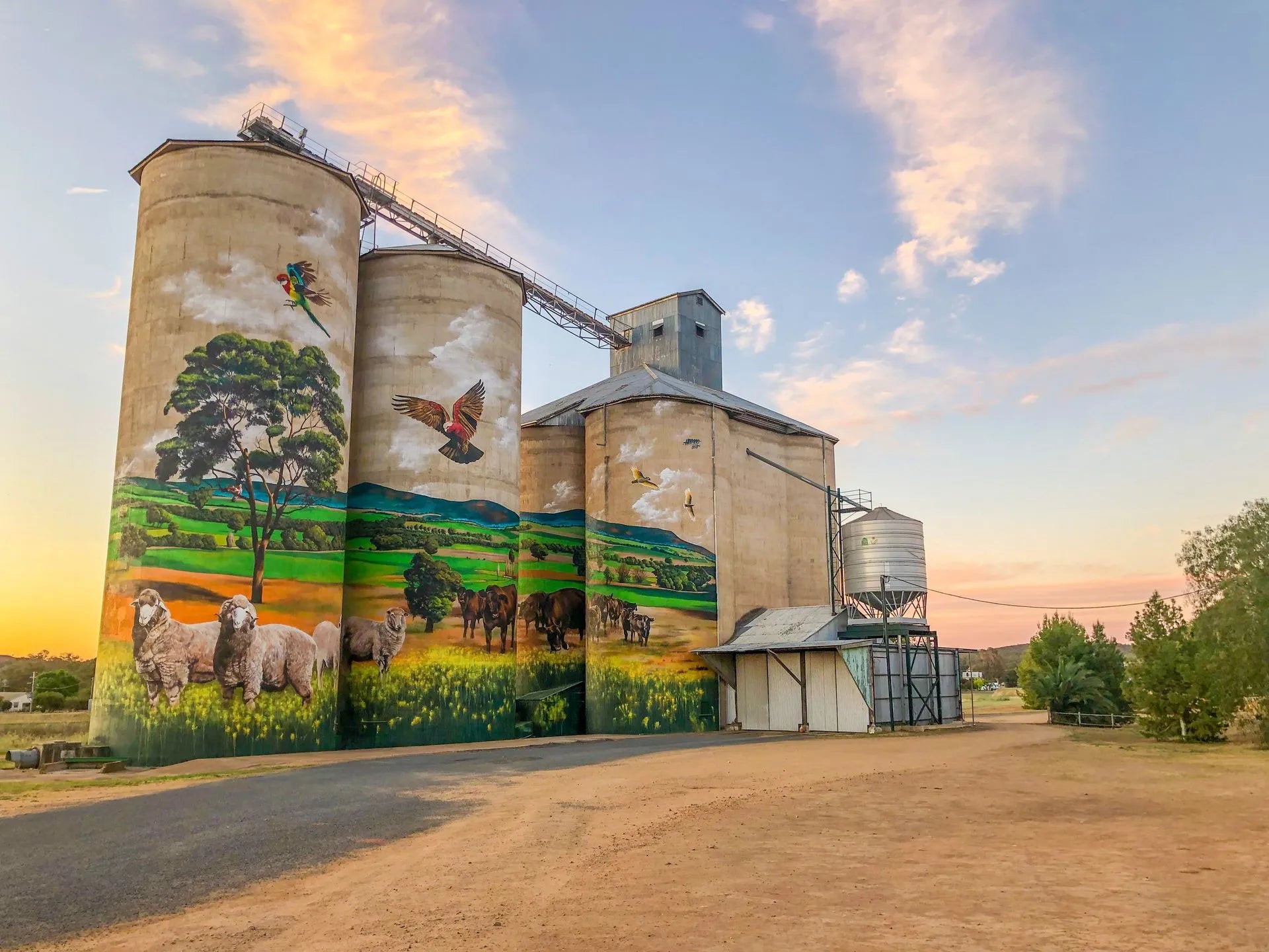 Silo Art Trail Wall Calendar 2026