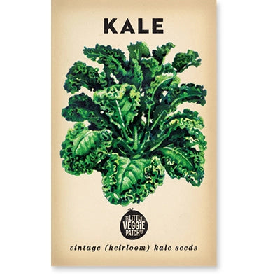 Little Veggie Patch Co Kale "Dwarf Blue" Heirloom Seeds