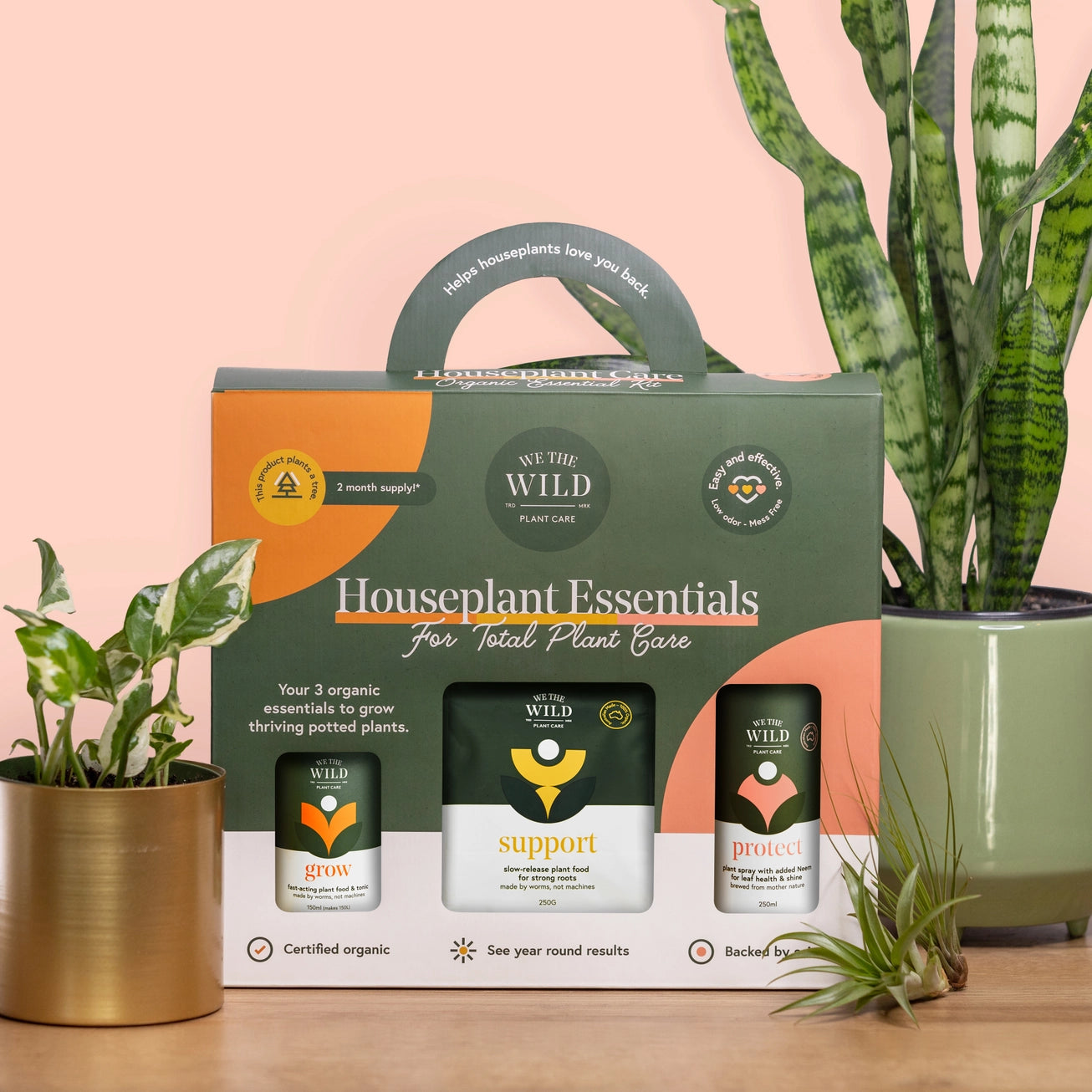 We the Wild House Plant Care Essentials Kit
