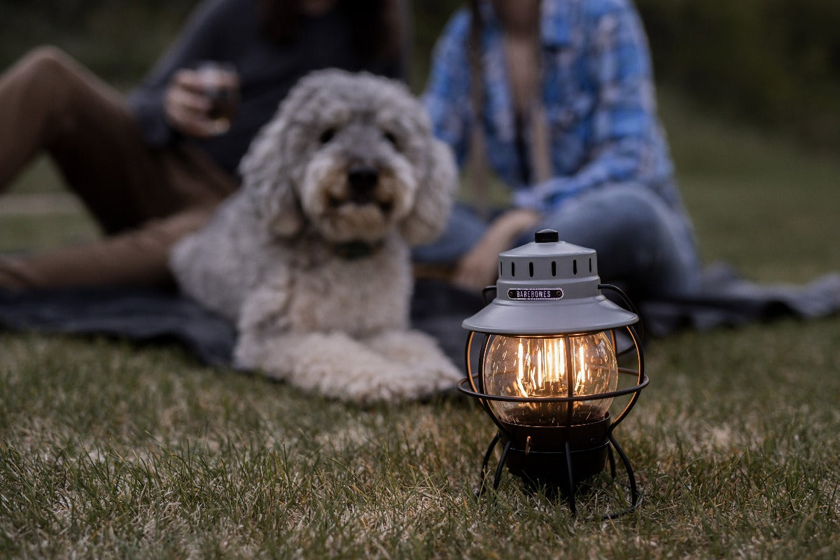 Barebones Australia Railroad Lantern Antique Bronze. Outdoor lighting. Outdoor entertaining. Outdoor Lantern.